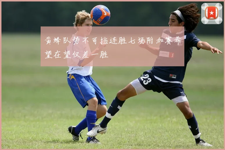 黄蜂队势不可挡连胜七场附加赛希望在望仅差一胜