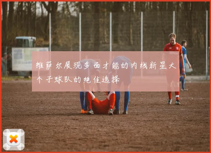 维萨尔展现多面才能的内线新星大个子球队的绝佳选择