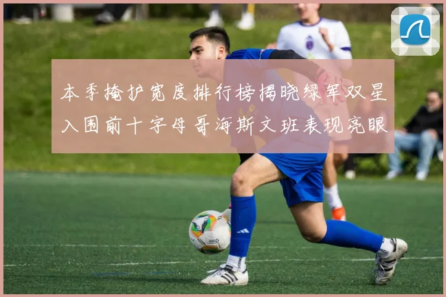 本季掩护宽度排行榜揭晓绿军双星入围前十字母哥海斯文班表现亮眼